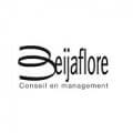 Logo de Beijaflore, client d’Acteo Consulting